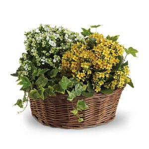 A basket of flowers with ivy and yellow flowers.