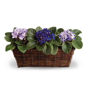 A basket of purple flowers on top of the ground.