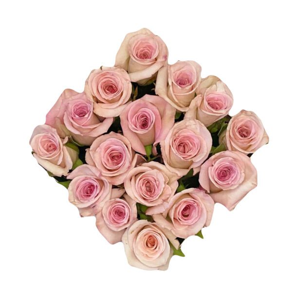 A bouquet of pink roses on top of a white background.