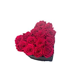 A heart shaped box of roses on white background.