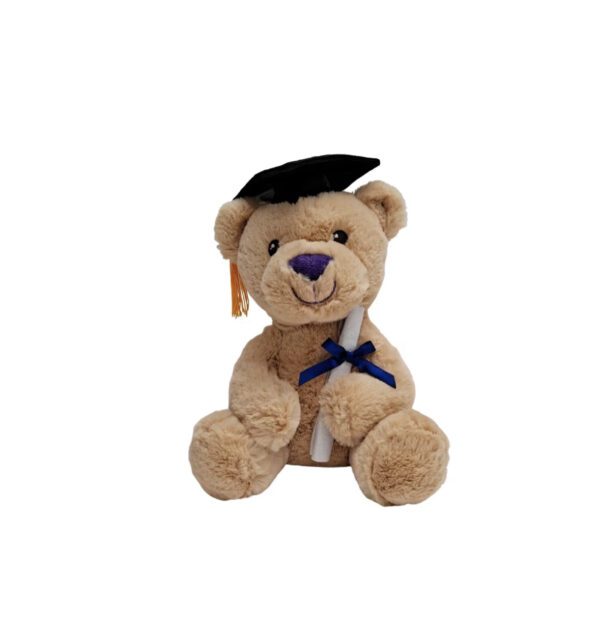 A teddy bear wearing a graduation cap and gown.